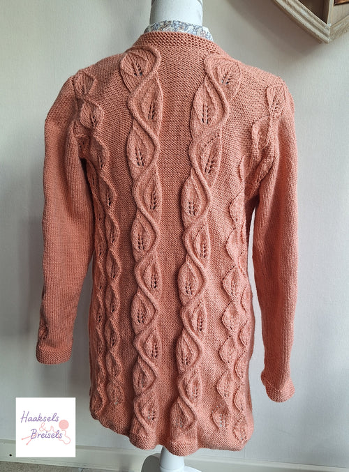 Breipatroon Vest Autumn Leafs