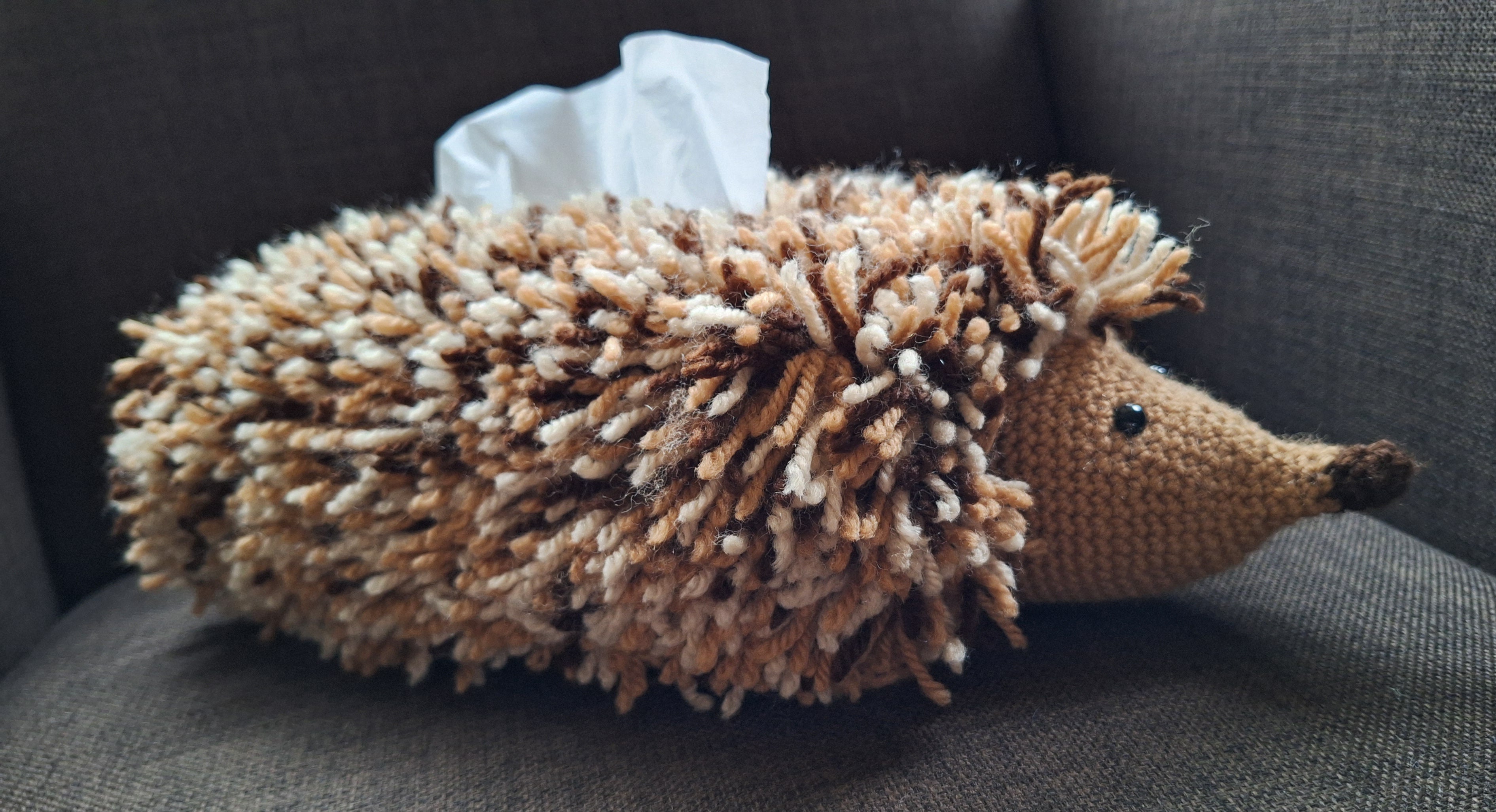 Haakpatroon Tissuedooshoes Egel